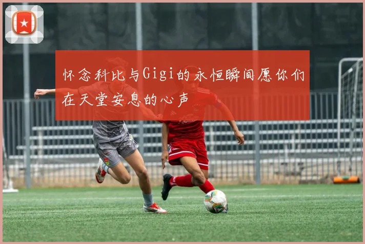 怀念科比与Gigi的永恒瞬间愿你们在天堂安息的心声