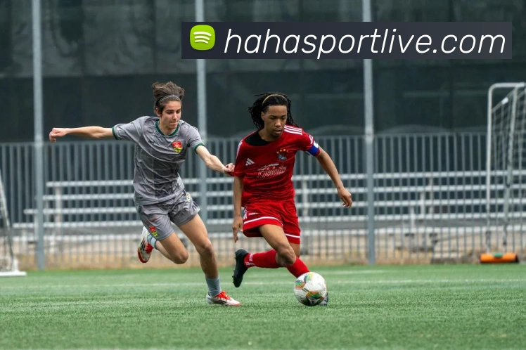 哈哈体育APP 体育赛事宣传图